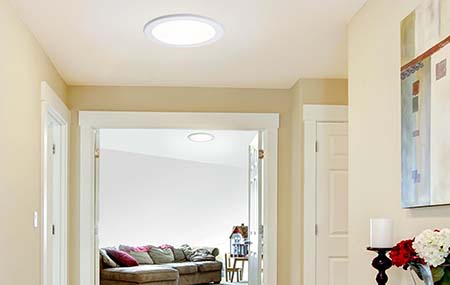 Skylight Style 1